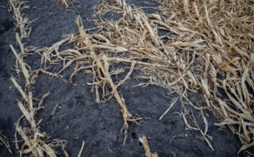 Civilek alkotnák meg, amit a törvényhozás elmulasztott