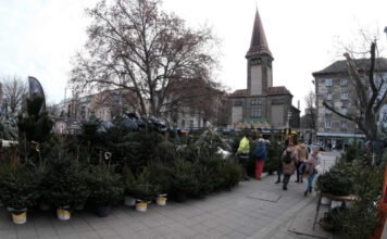 Karácsonyi készülődés: ennyibe kerül idén a fenyőfa
