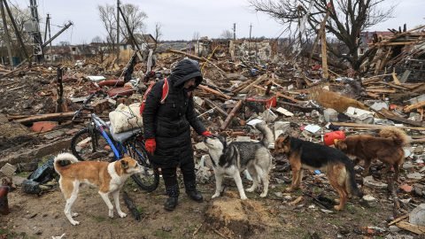 Lakhatási válság Spanyolországban: Kilakoltatás verőlegényekkel