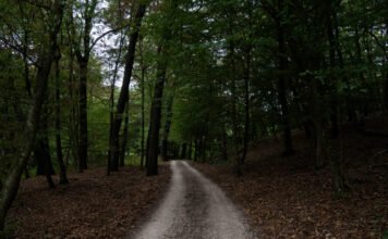Mennyiből jön ki egy nap az erdőben? Kipróbáltuk a bushcraftot, pocsolyavízzel fojtottuk le a hamuban sült kenyeret