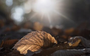 Nyugaton végre előbukkan a nap