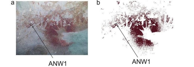 A világ legősibb barlangrajzait azonosították