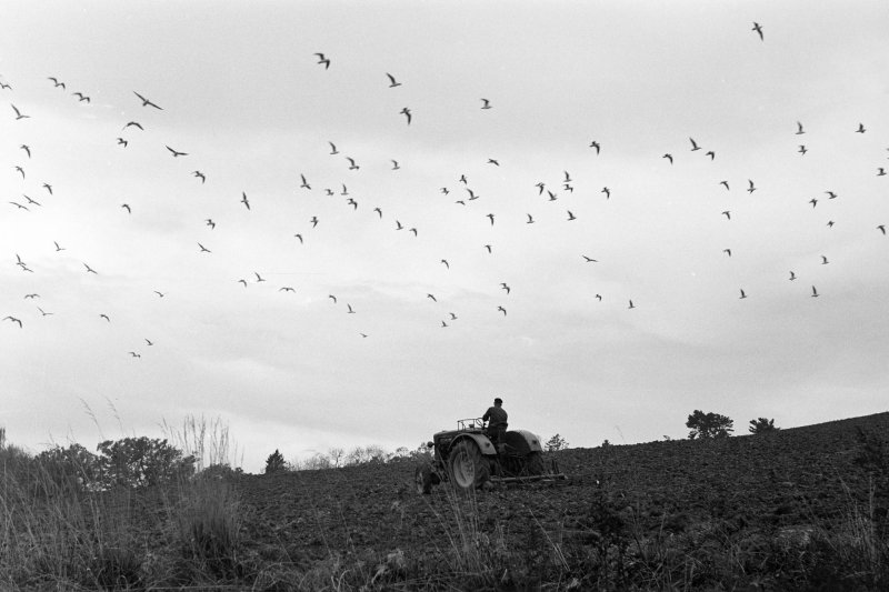"Csak nyomkodtam a g&eacute;pet" &ndash; egy '56-os emigr&aacute;ns magyar &eacute;p&iacute;t&eacute;sz derűs pillanatai motoroz&aacute;s k&ouml;zben