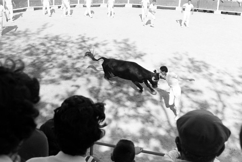 "Csak nyomkodtam a g&eacute;pet" &ndash; egy '56-os emigr&aacute;ns magyar &eacute;p&iacute;t&eacute;sz derűs pillanatai motoroz&aacute;s k&ouml;zben