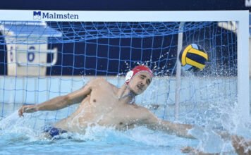 „Mi nem vagyunk olyanok, mint a magyarok, nem nyafogunk” – az Eb-győzelem után beszólt a szerb pólókapus