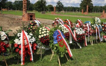 Népirtásba fordult a cigányozás a 20. században