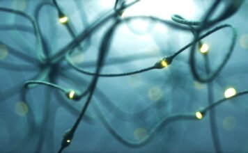 Öngyógyításra képes mesterséges idegpályát alkottak