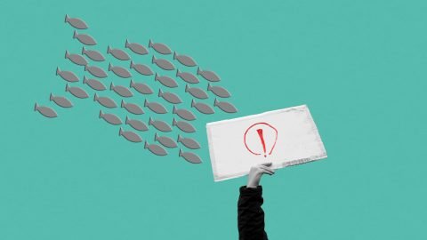 Paródia, szekunder szégyen vagy jó stratégia? – így látja a Z generáció a Fidesz TikTok-videóit