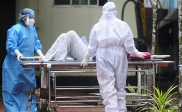 Virológust kérdeztünk: az egyik leghalálosabb vírus Magyarországon is feltűnhet?