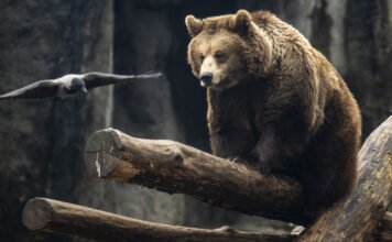 A nap legfontosabb hírei – 2026. 02. 01.