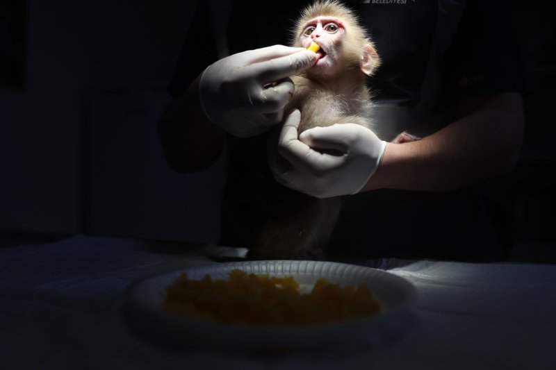 Drogos mak&aacute;k&oacute;, botr&aacute;nysisak &eacute;s rep&uuml;lő Bad Bunny a h&eacute;t k&eacute;pein