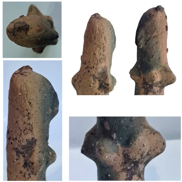 Felfedez&eacute;s Erd&eacute;lyben: 7500 &eacute;ves leletre bukkantak Sepsiszentgy&ouml;rgy&ouml;n