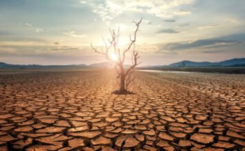 Itt az idő: visszatérhet az El Niño, és példátlan melegedést hozhat