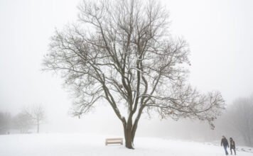 Komoly havazásra és hófúvásra figyelmeztetnek