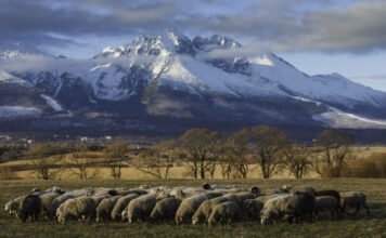 Lavina sodort el két magyart a Magas-Tátrában