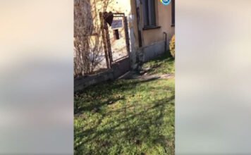 Magyar Közlöny: 15 évnyi ígérgetés után a kormány pénzt ad egy lepusztult mentőállomás felújítására