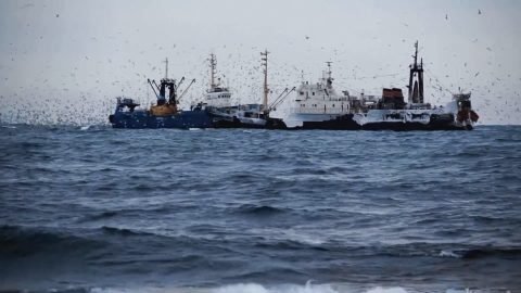 Mi&eacute;rt k&ouml;lt&ouml;znek n&eacute;metek Oroszorsz&aacute;gba?