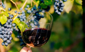 Milliárdos vállalkozó vette meg a bajba jutott Borhálót