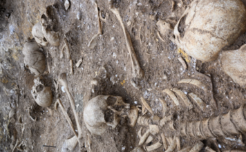 Rejtélyes óriást rejtett az ősi cambridge-i tömegsír