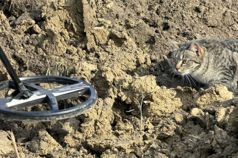 T&ouml;r&ouml;k&ouml;k &aacute;ltal elpuszt&iacute;tott magyar telep&uuml;l&eacute;s nyomaira bukkantak