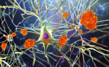 Véletlenül okozhatnak Alzheimer-kórt az agy tisztítósejtjei