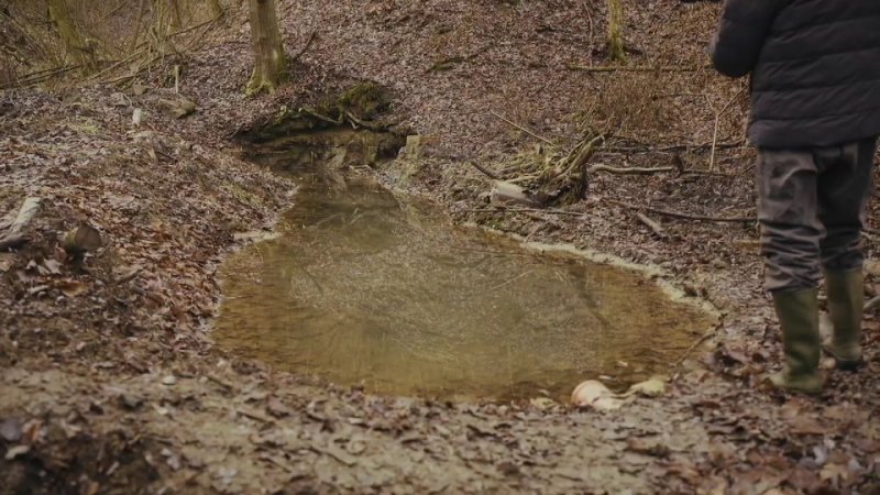 Vizet fakaszt a kiszáradó erdőkben egy nográdi vadász