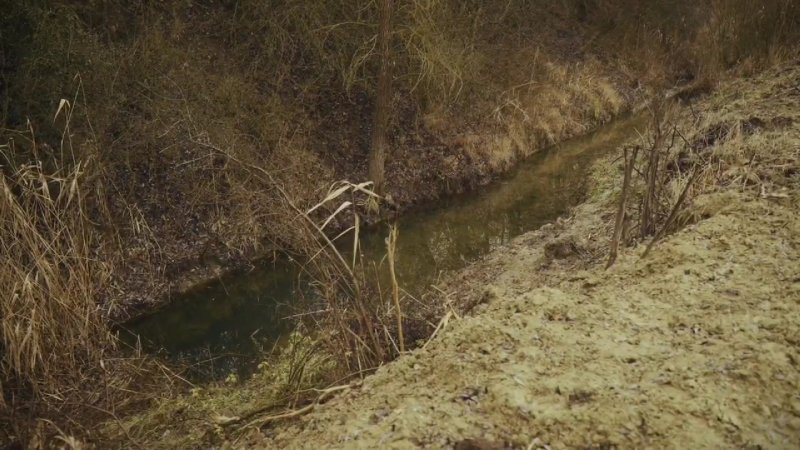 Vizet fakaszt a kiszáradó erdőkben egy nográdi vadász