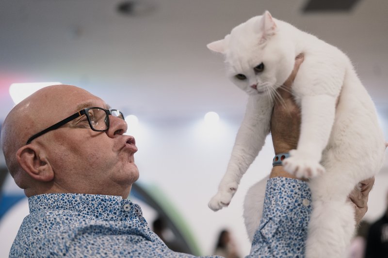 300 macska &eacute;s 200 kutya foglalta el egy h&eacute;tv&eacute;g&eacute;re a Lurdy H&aacute;zat