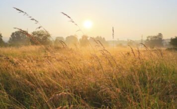 7-8 fokkal melegebb volt szombaton az ilyenkor szokásosnál
