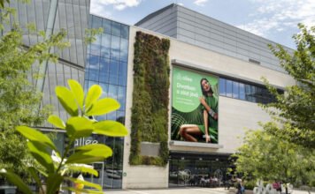 Az Allee lett az Év Bevásárlóközpontja – ünneplés és kuponnapok márciusban