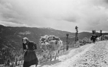 Beloianniszban, a görög faluban a paptól tudtuk meg, ki nyeri a választást