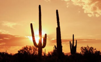 Brutális hőhullám csap le Amerikára: 35–40 fok is lehet a hétvégén