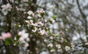 Drasztikus fordulat jön az időjárásban, a napsütést viharos szél és hó válthatja