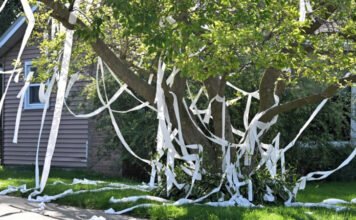 Egyszerű diákcsínynek indult, halálos gázolás lett a vége