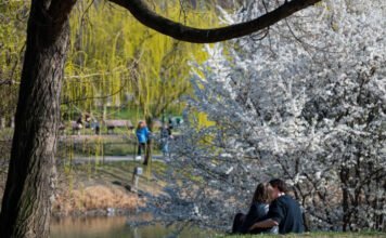 Ezért nem érezzük, mennyire extrém a héten is az időjárásunk