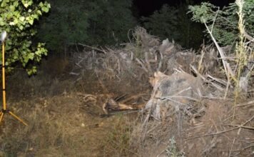 Gyanúsítottként hallgatták ki a tiszakécskei gyilkos feleségét