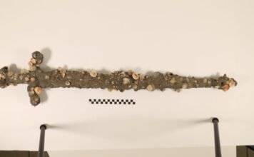 Keresztes lovag kardját találták meg a Földközi-tengerben