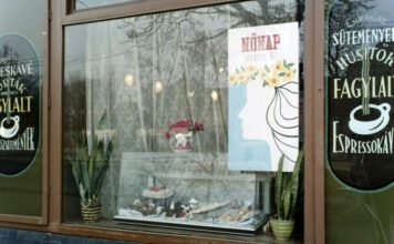 Mikor van nőnap, és mit ünneplünk ilyenkor?