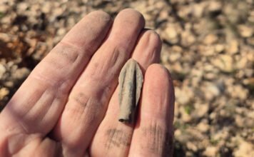 Ókori támadás nyomaira bukkantak a Bükkben