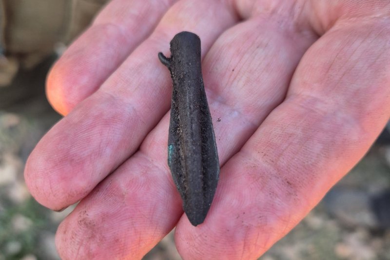 &Oacute;kori t&aacute;mad&aacute;s nyomaira bukkantak a B&uuml;kkben