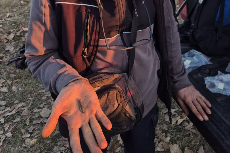 &Oacute;kori t&aacute;mad&aacute;s nyomaira bukkantak a B&uuml;kkben