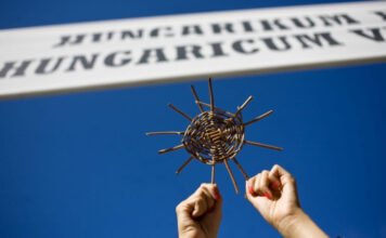 Pálinka, paprika, pogácsa – mennyit tudsz a hungarikumokról?