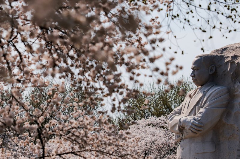 Tengeri vill&aacute;m, t&ouml;megima &eacute;s robotprotokoll a h&eacute;t k&eacute;pein