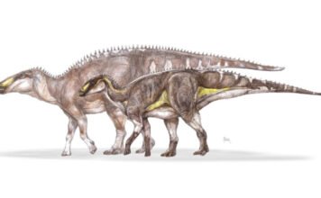 Új dinoszauruszfajt fedeztek fel magyar kutatók Erdélyben