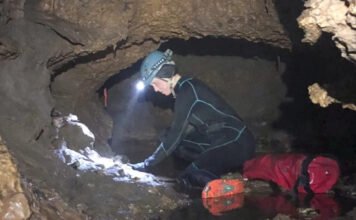 A kutatókat is meglepte, milyen ősi állatok maradványaira bukkantak