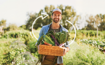 A legtöbb szempontból magyarok a kiskereskedelem óriásai