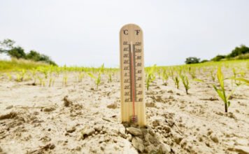 A pénteki volt az év eddigi legmelegebb napja