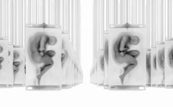 Agy nélküli, emberi klónokat hozna létre egy milliárdosok által támogatott startup