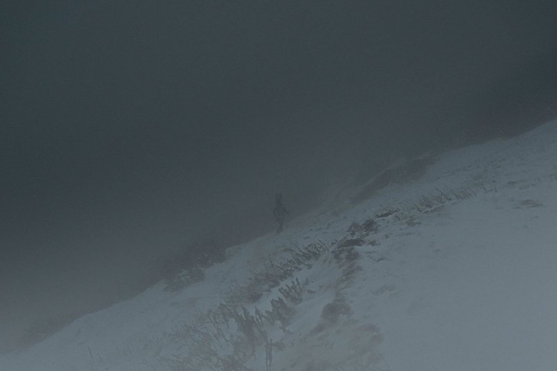 Antilopok Hatvanpuszt&aacute;n, magyar rode&oacute; &eacute;s kil&oacute;nyi lecs&oacute;t cipelő serpa &ndash; v&aacute;logat&aacute;s fot&oacute;riportereink d&iacute;jazott k&eacute;peiből