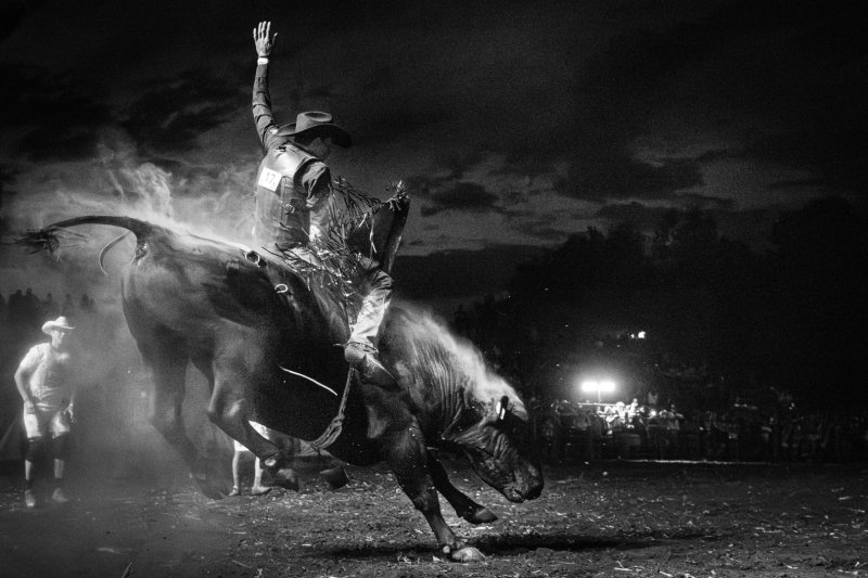 Antilopok Hatvanpuszt&aacute;n, magyar rode&oacute; &eacute;s kil&oacute;nyi lecs&oacute;t cipelő serpa &ndash; v&aacute;logat&aacute;s fot&oacute;riportereink d&iacute;jazott k&eacute;peiből